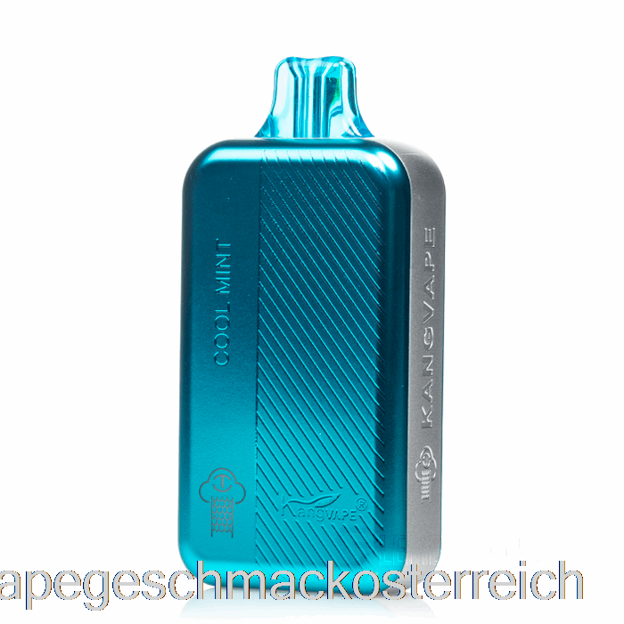 Kangvape Tc8000 Einweg-Vape-Geschmack Mit Kühlem Minzgeschmack